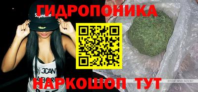 гидропоника Камышлов