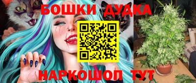 гидропоника Камышлов
